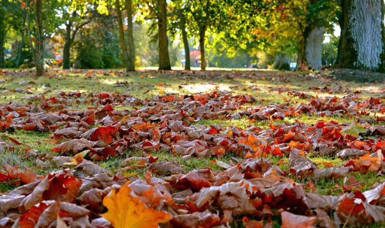 İKLİM DEĞİŞİKLİĞİ