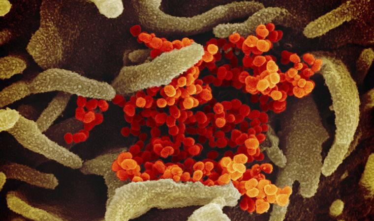 Yeni mutasyon aşıyı etkisiz bırakacak mı?