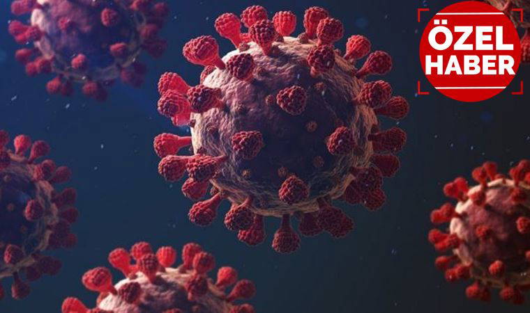Uzmanlar, yeni mutasyon hakkında ne diyor?