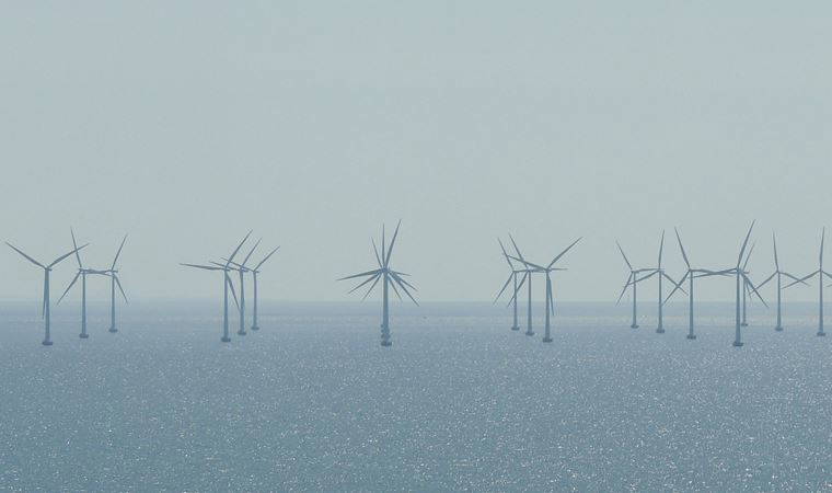 İklim değişikliği yetersiz beslenmeye neden oluyor: Açlık kapıda