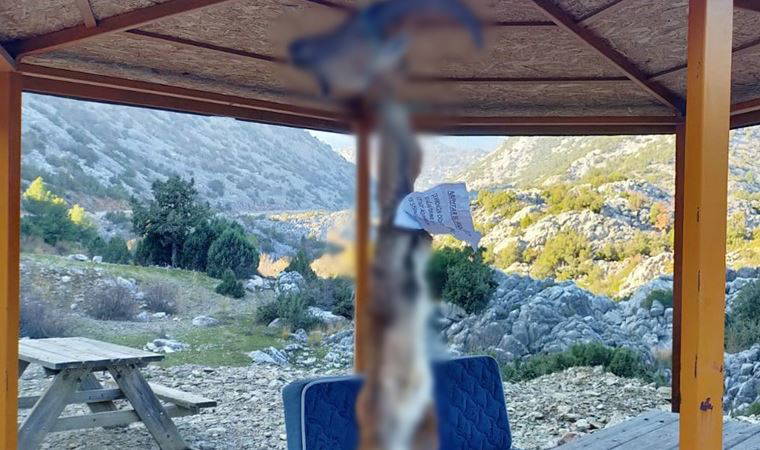 Kaçak avladıkları yaban keçisinin derisini yüzüp, tehdit notu bırakarak ipe astılar