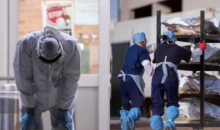 Wikipedia, 2020 yılında en çok okunanlar listesini açıkladı