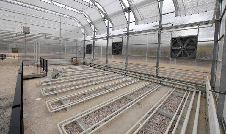 İzmir'de kuraklıkla mücadele için enstitü kuruluyor