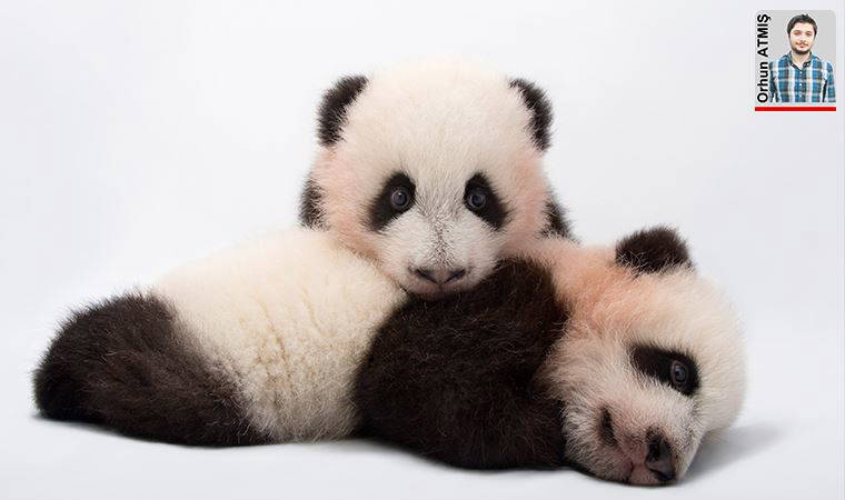 NatIonal GeographIc sergisi ‘Photo Ark’ ilk kez Türkiye’de Önemsiz tür yoktur