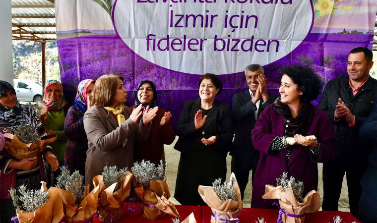 Büyükşehir 5 bin lavanta fidesi dağıttı