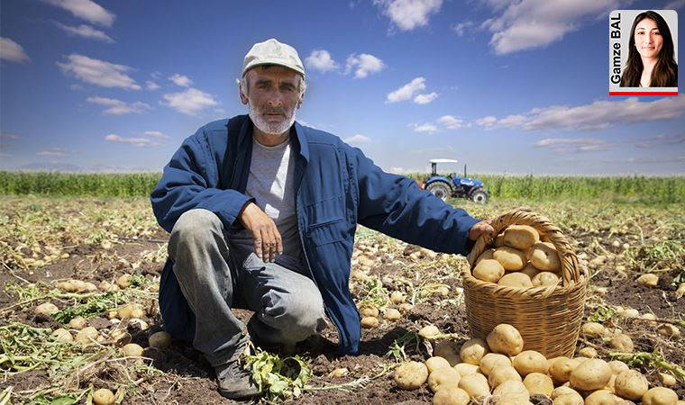 Tarım ‘65 yaş’a takıldı... Jandarma çiftçilere çalışma izni vermedi