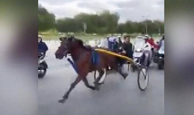 Hayrete düşüren görüntüler! İtalya sokaklarında yasa dışı at yarışı