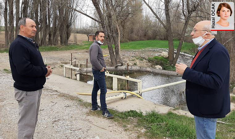 Kayyım altın peşinde