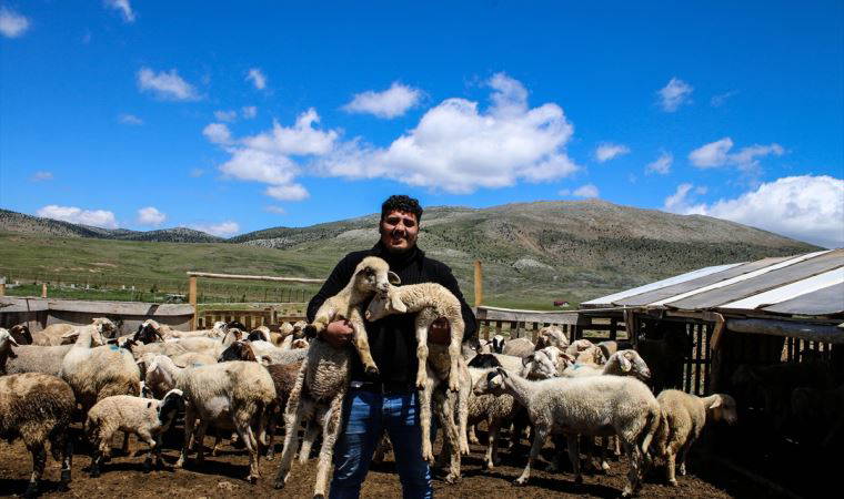 Yörüklerin yaylalardaki yaşam mücadelesi