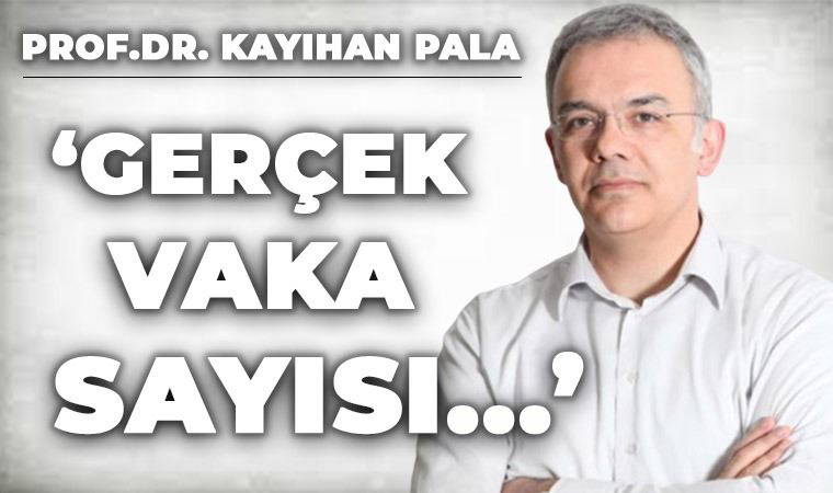 Prof. Dr. Kayıhan Pala: 'Gerçek vaka sayısı açıklananın üç-dört katı'