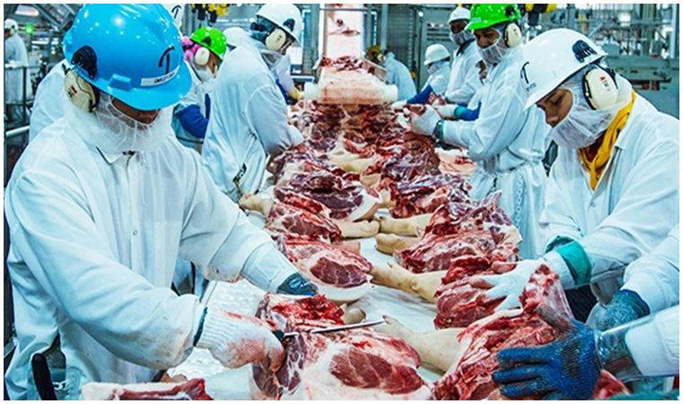 Et işleme fabrikasında 370 korona pozitif