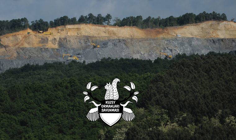 Kuzey Ormanları Savunması: Salgından rant değil, ders çıkarılmalı