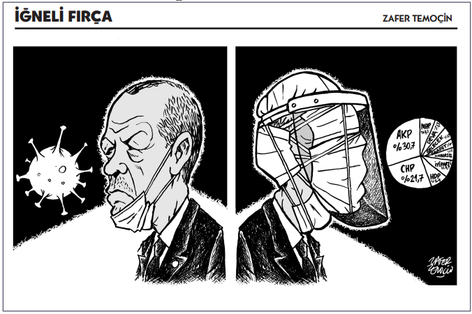 İğneli Fırça (12.06.2020)