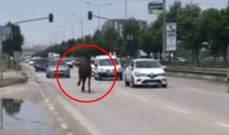 Bursa trafiğinde dört nala koştu