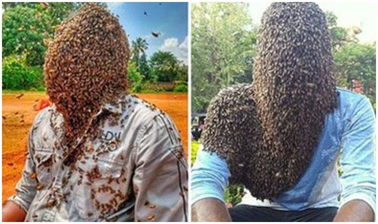 60 bin arıyı kafasında tuttu, rekorlar kitabına girdi