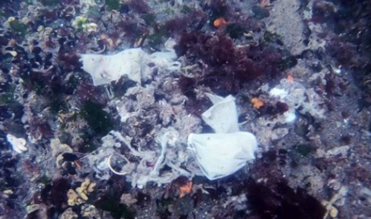 Utandıran görüntüler! Korkunç manzarayı gözler önüne serdi