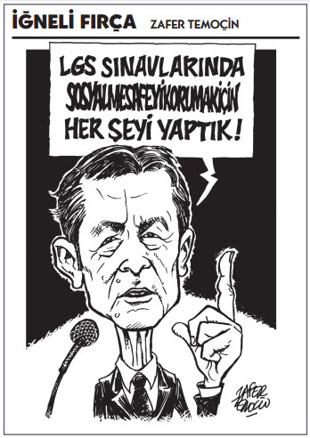 İğneli Fırça (21.06.2020)