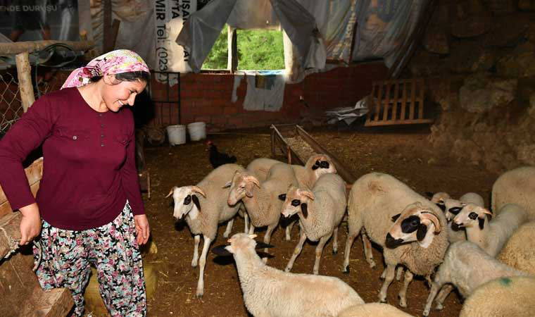Güzelbahçeli kadın üreticinin başarı öyküsü