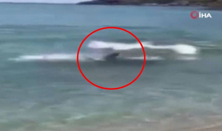 Riva'da görüntülendi! Kumsala oldukça yaklaştı