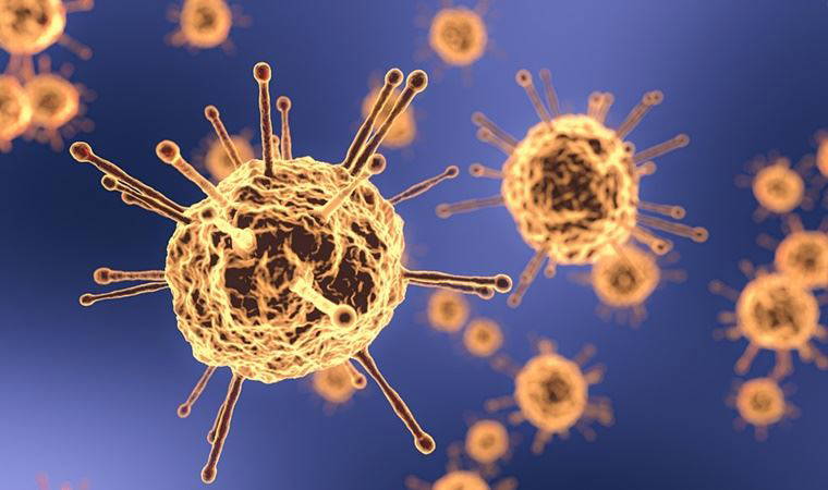 Bilim Kurulu Üyesi Özkan uyardı: Rakamlar artarsa ikinci pik yaşayabiliriz