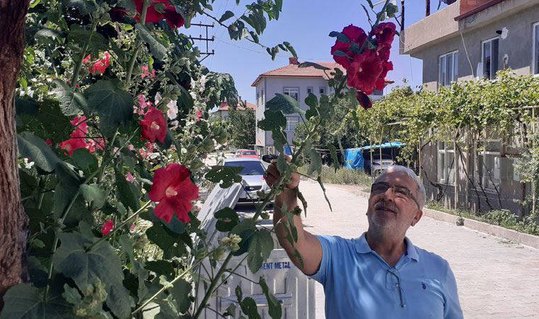 Barış Manço’nun şarkısından ilham alıp reçel yaptı