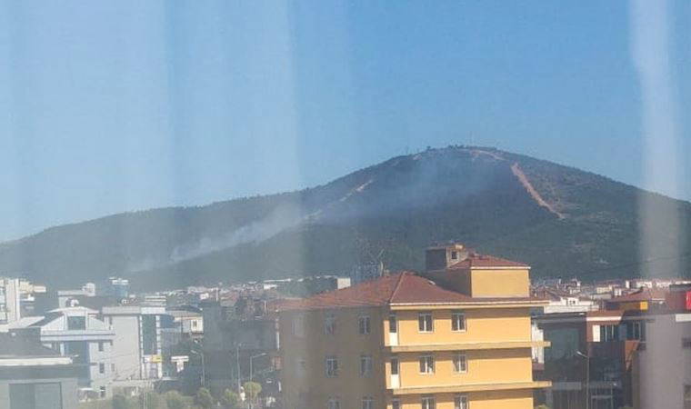 Kayışdağı'nda ormanlık alanda yangın çıktı