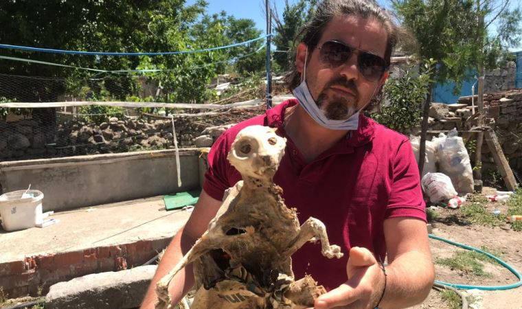Bilim kurgu filminden değil kömürlükten çıktı