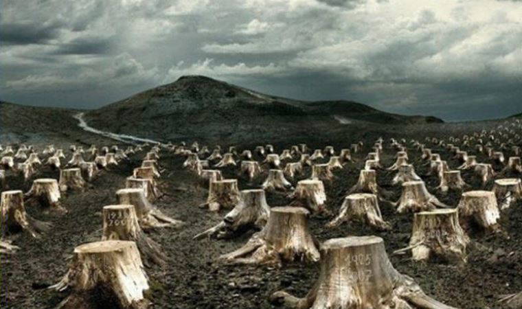 Ekolojik tahribat hız kesmedi