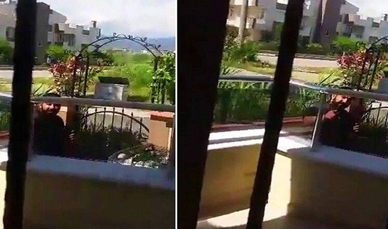 Sokak hayvanlarını besleyen kadını tehdit etti: Sana mermi atarım!