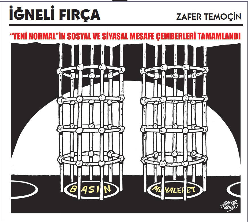 İğneli Fırça (10.06.2020)