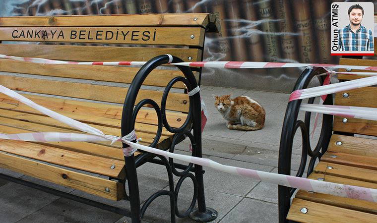 Pandeminin hafızası...