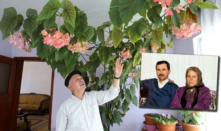 Eşinin hatırasını yaşatmak için baktığı çiçek odayı kapladı: ‘Sevgimi bu şekilde sürdürüyorum’