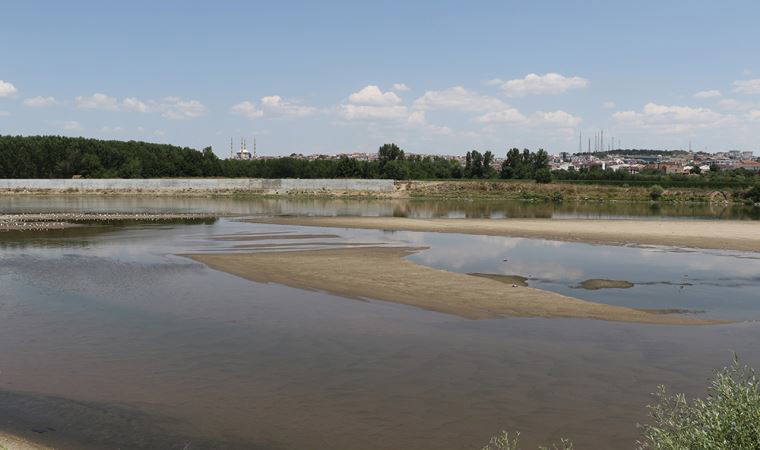 Komşuda ‘inek ölümleri’ iddiası, nehirden numune alındı