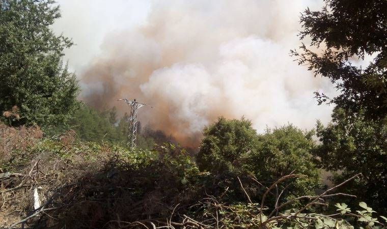 Çanakkale'de orman yangını (30.07.2020)