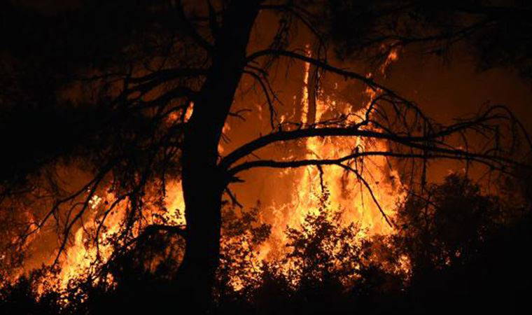 Gelibolu'daki yangın kontrol altına alındı