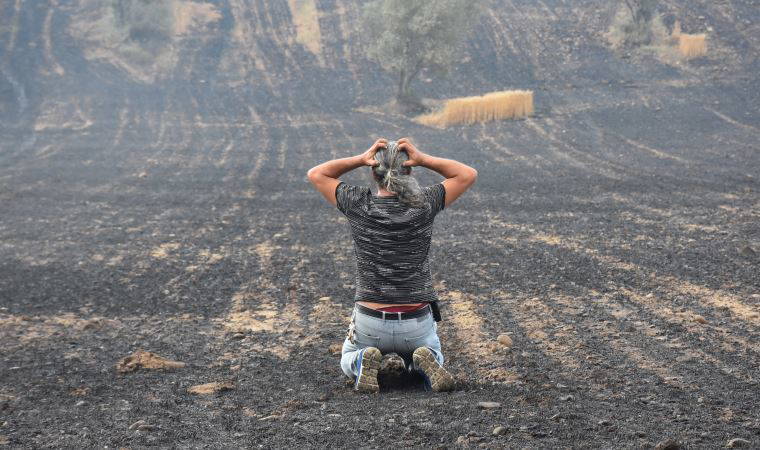 Gelibolu'da tarlaları yanan köylülerin üzüntüsü