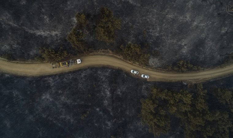 Türkiye'de son 10 yılda çıkan orman yangınlarında, 93 bin futbol sahası büyüklüğünde alan kül oldu