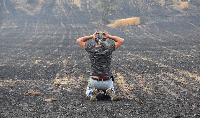 Küle dönmüş arazilerini görünce yıkıldılar