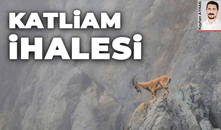 Katliam için ihale!