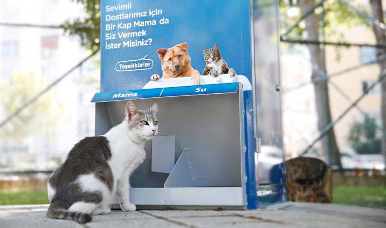 Konak'ta sokakta yaşayan canlılar için 'Mamamatik'