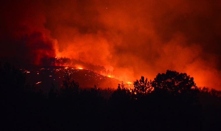 Adana’da korkutan yangın! 6 köy boşaltıldı