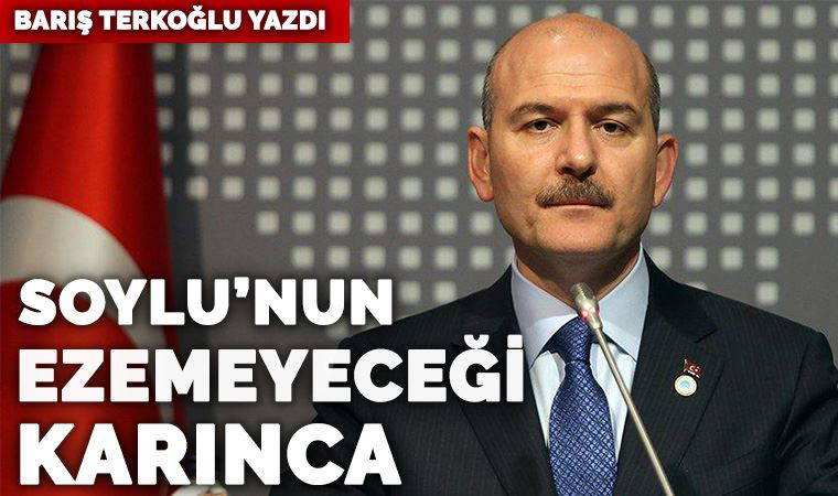 Süleyman Soylu’nun ezemeyeceği karınca