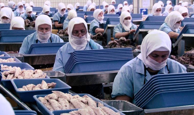 Dardanel'in patronu açıkladı: Kapalı devre çalışmayı resmi makamlar önerdi