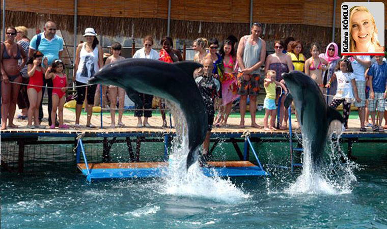 Yunus parklarında işkence