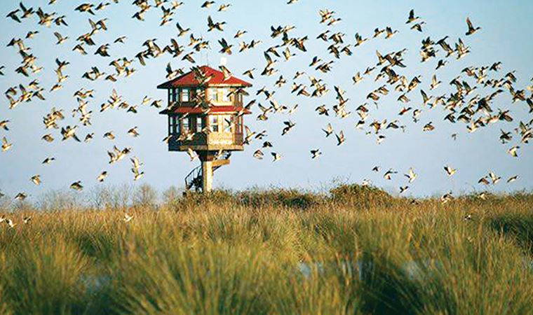 Delta oteline şikâyet yağıyor