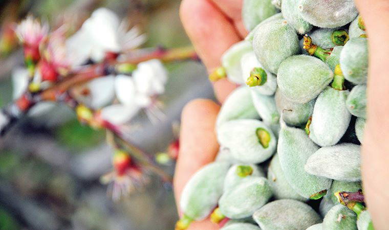 Mavi beyaz düşlerle bir anımsama