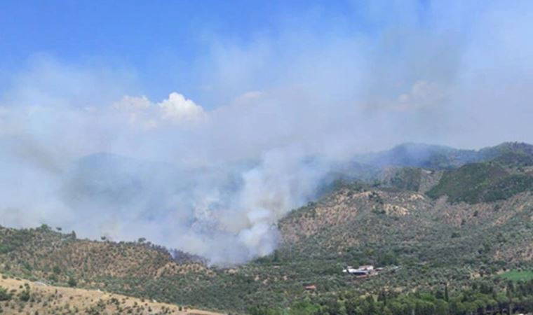 Muğla'da ormanlık alanda yangın