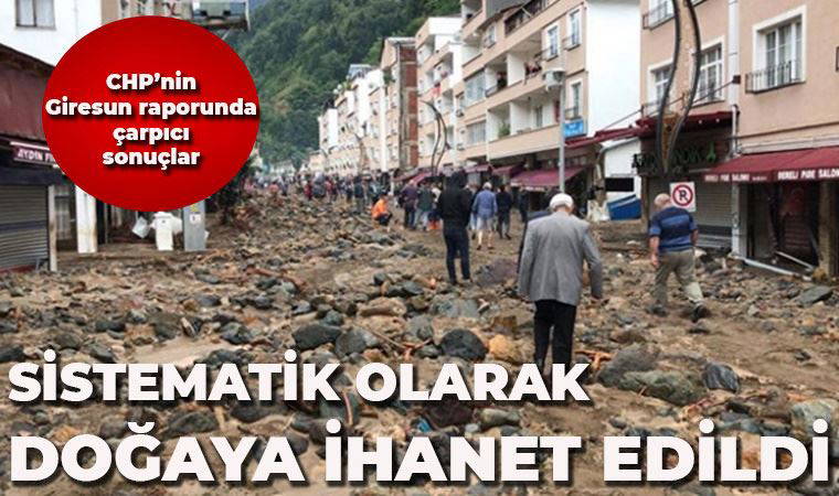 CHP'den Giresun raporu: Sistematik olarak doğaya ihanet edildi