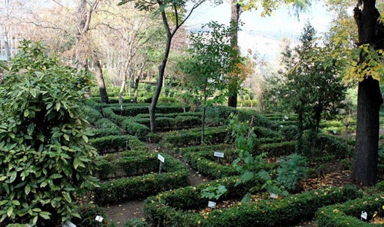 Diyanet'e her gün yeni bir arazi tahsis ediliyor