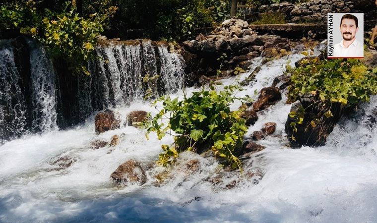 Munzur için deklarasyon: ‘Çalışmayı durdurun bize de bir sorun’